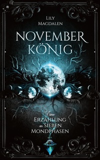 Vorderes Coverbild Novemberkönig