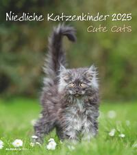 Vorderes Coverbild Alpha Edition - Niedliche Katzenkinder 2025 Bildkalender, 30x34cm, Kalender mit niedlichen Katzenkinder-Motiven, Mondphasen, Kalenderwochen, Feiertage DE/AT/CH, internationales Kalendarium
