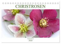 Vorderes Coverbild Christrosen (Tischkalender 2026 DIN A5 quer), CALVENDO Monatskalender