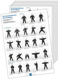 Vorderes Coverbild Poster - Die 15 Ausdrucksformen des Taiji-Qigong (10 Stück DIN A3)