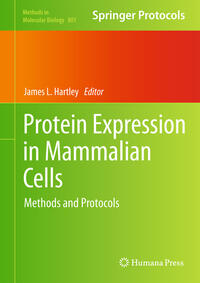 Vorderes Coverbild Protein Expression in Mammalian Cells