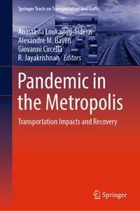 Vorderes Coverbild Pandemic in the Metropolis