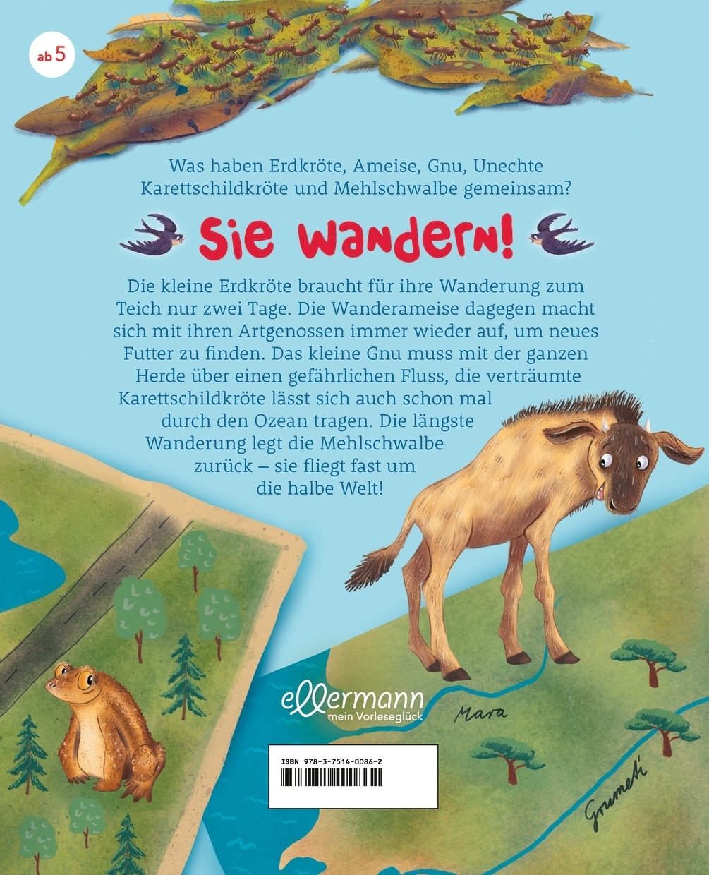 Rückseitencover Ist es noch weit?