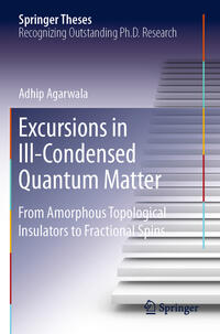 Vorderes Coverbild Excursions in Ill-Condensed Quantum Matter