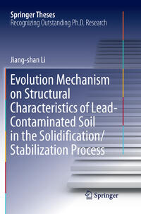 Vorderes Coverbild Evolution Mechanism on Structural Characteristics of Lead-Contaminated Soil in the Solidification/Stabilization Process
