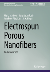 Vorderes Coverbild Electrospun Porous Nanofibers