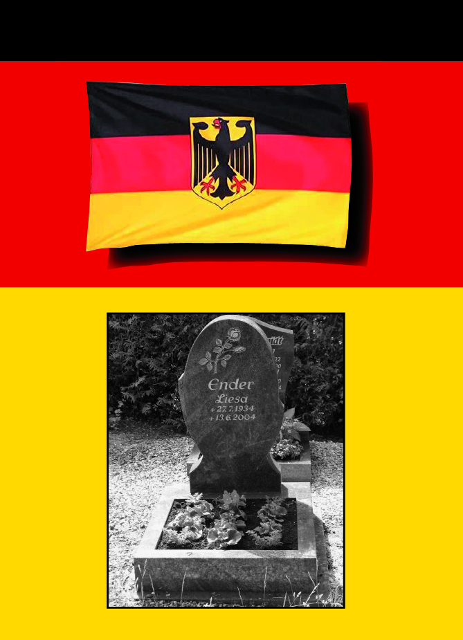Rückseitencover Heinz Ender