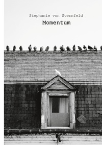 Vorderes Coverbild Momentum