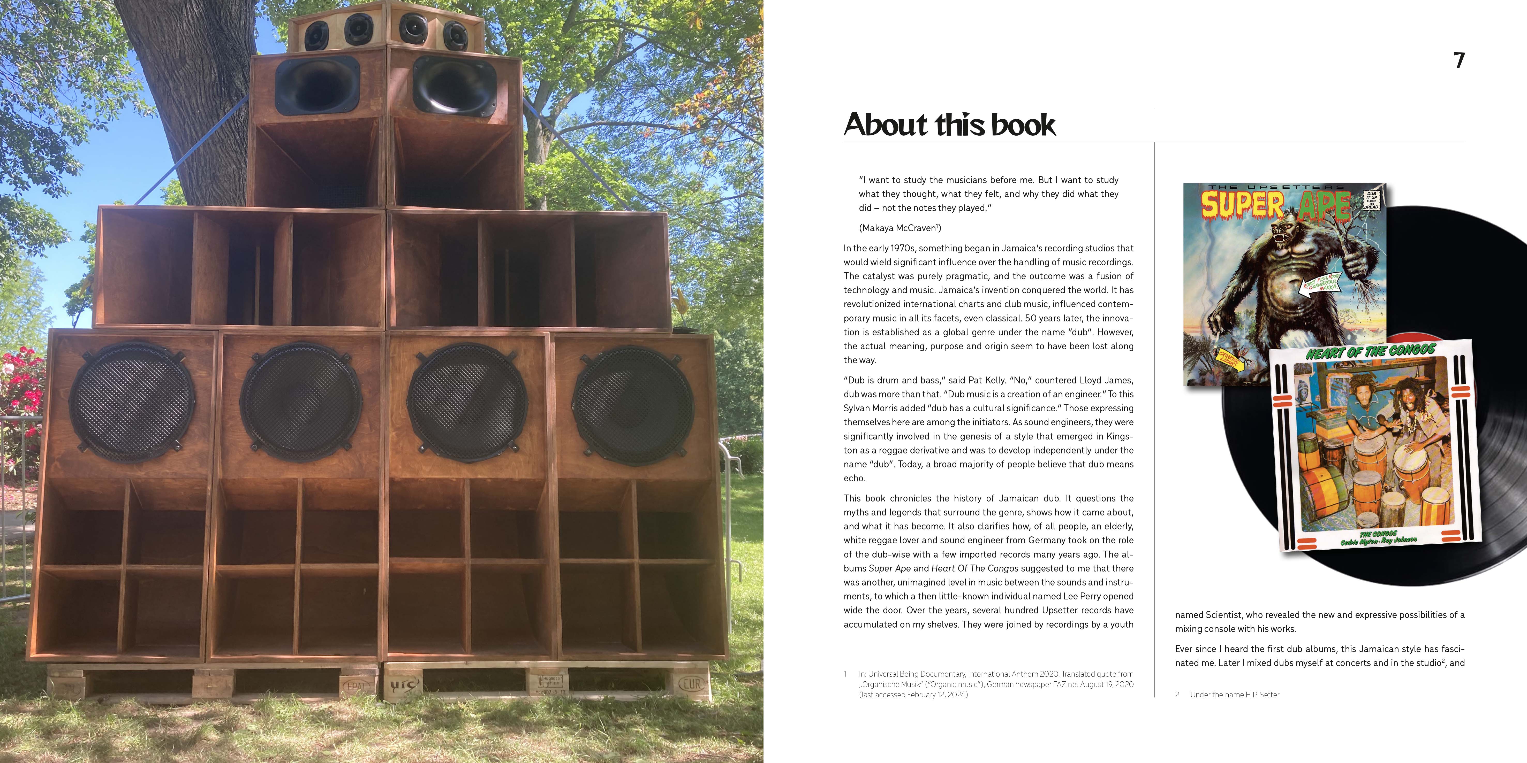 Beispielinhalt (Bild) Dub – The Sound of Surprise