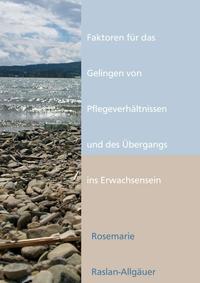 Vorderes Coverbild Faktoren für das Gelingen von Pflegeverhältnissen und des Übergangs ins Erwachsensein