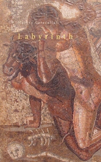 Vorderes Coverbild Labyrinth