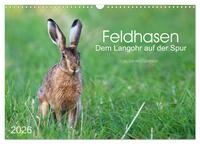 Vorderes Coverbild Feldhasen - dem Langohr auf der Spur (Wandkalender 2026 DIN A3 quer), CALVENDO Monatskalender
