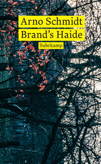 Vorderes Coverbild Brand’s Haide