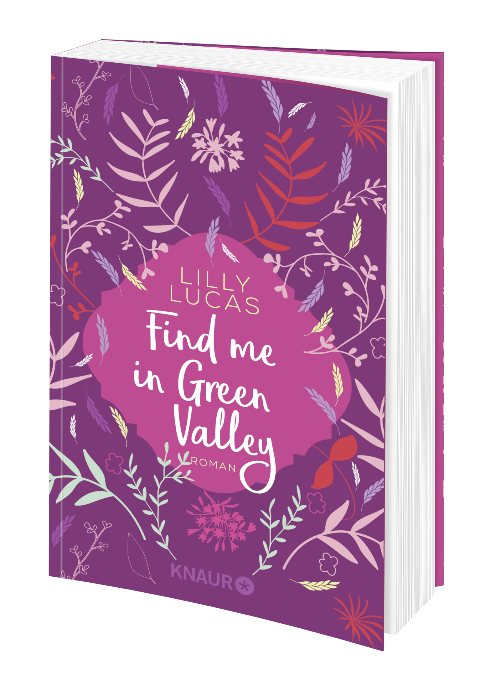 Anderes Coverbild Find me in Green Valley