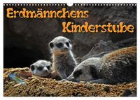 Vorderes Coverbild Erdmännchens Kinderstube (Wandkalender 2025 DIN A3 quer), CALVENDO Monatskalender