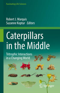 Vorderes Coverbild Caterpillars in the Middle