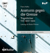 Vorderes Coverbild Ansturm gegen die Grenze. Tagebücher von 1910–1922