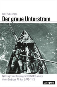 Vorderes Coverbild Der graue Unterstrom