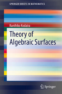 Vorderes Coverbild Theory of Algebraic Surfaces