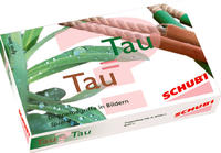 Vorderes Coverbild Kartenspiele zu Doppelbegriffen / Tau = Tau? - anspruchsvoll