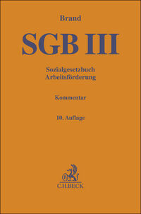 Vorderes Coverbild Sozialgesetzbuch