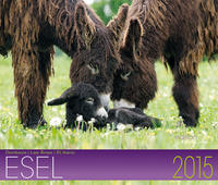Vorderes Coverbild Esel Kalender 2015