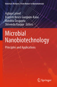 Vorderes Coverbild Microbial Nanobiotechnology