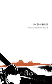 Vorderes Coverbild Im Sinkflug