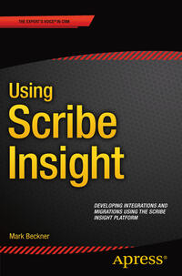 Vorderes Coverbild Using Scribe Insight