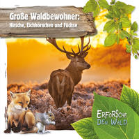 Vorderes Coverbild Große Waldbewohner: Hirsche, Eichhörnchen und Füchse