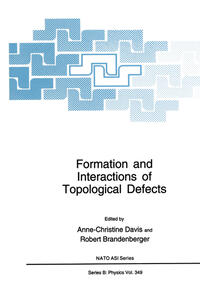 Vorderes Coverbild Formation and Interactions of Topological Defects