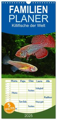 Vorderes Coverbild Familienplaner 2025 - Killifische der Welt mit 5 Spalten (Wandkalender, 21 x 45 cm) CALVENDO