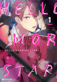 Vorderes Coverbild Hello Morning Star – Band 1