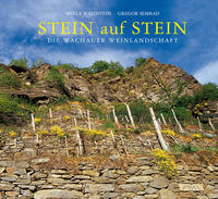 Vorderes Coverbild Stein auf Stein