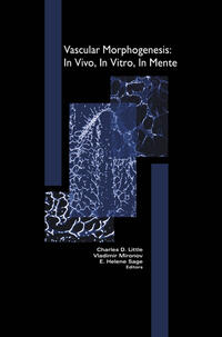 Vorderes Coverbild Vascular Morphogenesis: In Vivo, In Vitro, In Mente