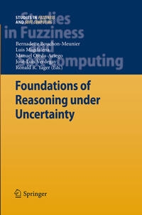 Vorderes Coverbild Foundations of Reasoning under Uncertainty