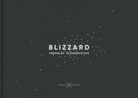 Vorderes Coverbild Blizzard