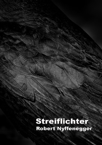 Vorderes Coverbild Streiflichter