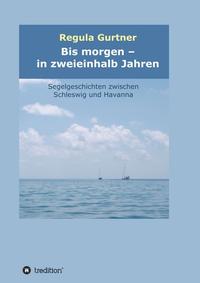 Vorderes Coverbild Bis morgen - in zweieinhalb Jahren