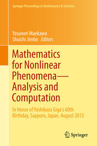 Vorderes Coverbild Mathematics for Nonlinear Phenomena — Analysis and Computation