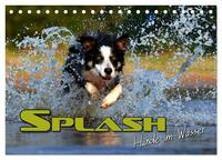 Vorderes Coverbild SPLASH - Hunde im Wasser (Tischkalender 2025 DIN A5 quer), CALVENDO Monatskalender