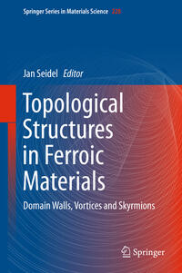 Vorderes Coverbild Topological Structures in Ferroic Materials