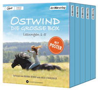 Vorderes Coverbild Ostwind. Die große Box