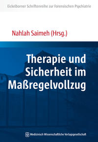 Vorderes Coverbild (hohe Qualität) Therapie und Sicherheit im Maßregelvollzug