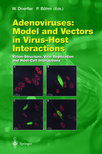 Vorderes Coverbild Adenoviruses: Model and Vectors in Virus-Host Interactions