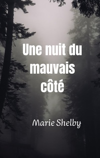 Vorderes Coverbild Une nuit du mauvais côté