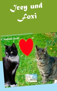 Vorderes Coverbild Icey und Foxi