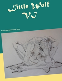 Vorderes Coverbild Little Wolf VI