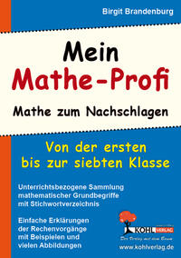 Vorderes Coverbild Mein Mathe-Profi