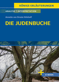 Vorderes Coverbild Die Judenbuche von Annette von Droste-Hülshoff - Textanalyse und Interpretation